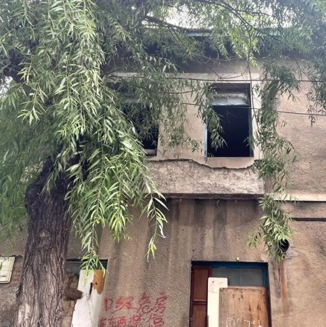 但同时,我也挺高兴,因为,杨叔终于住上好房子了,不用再脱煤坯,不用再