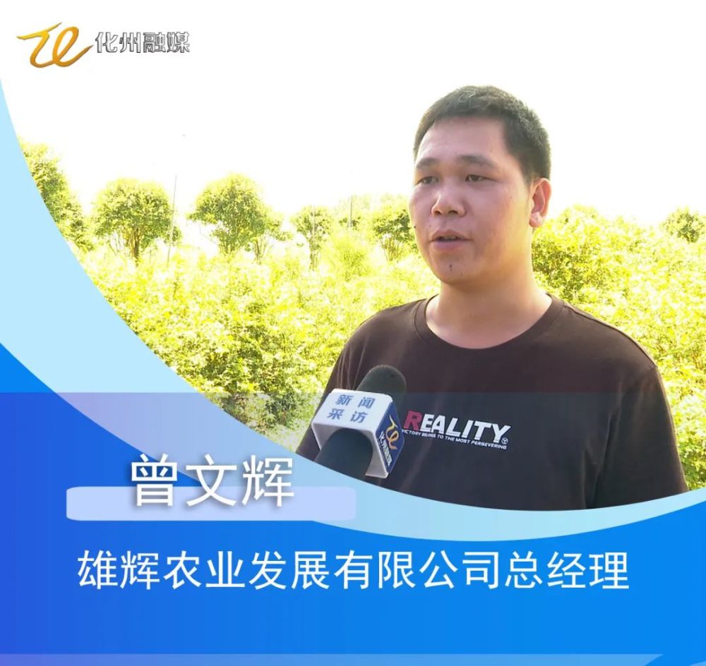 鉴江街道百室堂大塘墩村:发展嘉宝果种植 推动乡村产业振兴