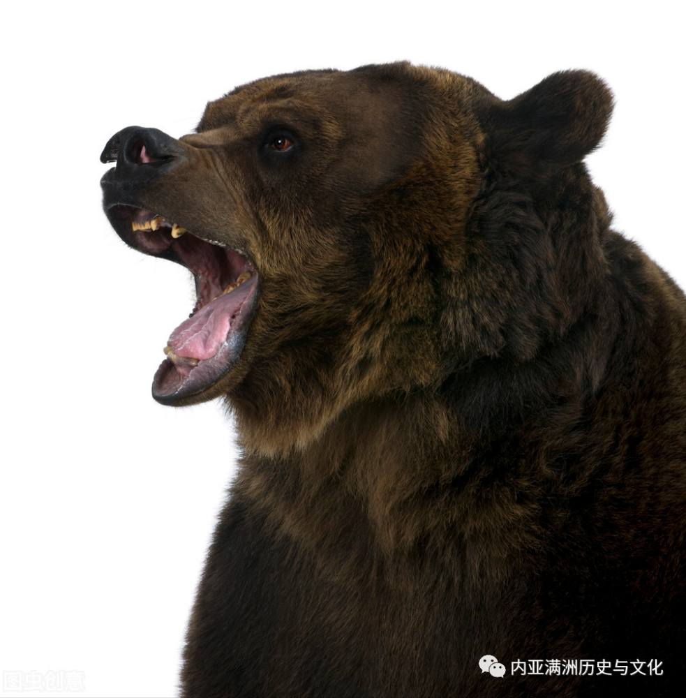 《晨报》说:不要认为我是在危言耸听