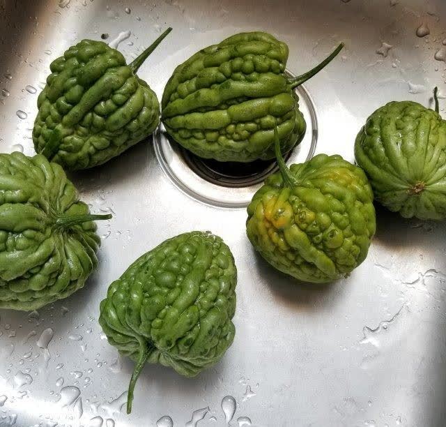 蛤蜊炒苦瓜,味道鲜美,清热去火