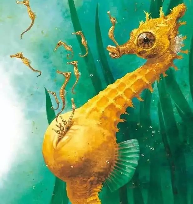 海马是由父亲生孩子的典型动物,海马的宝宝都是由公海马进行孵化的