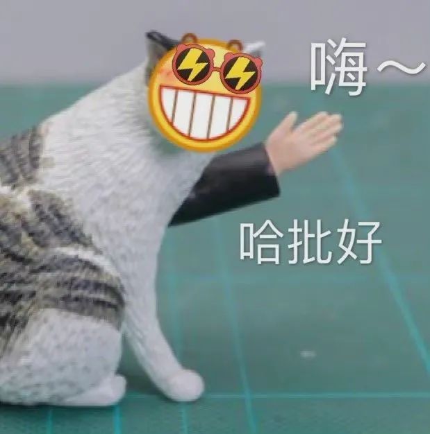 沙雕表情包这也太那个了吧