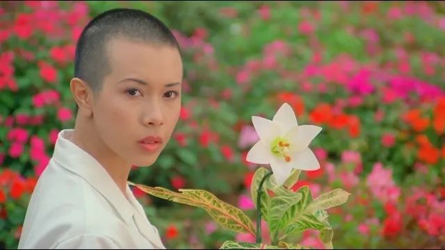 童年阴影《回魂夜》 周星驰的"痴人说梦"