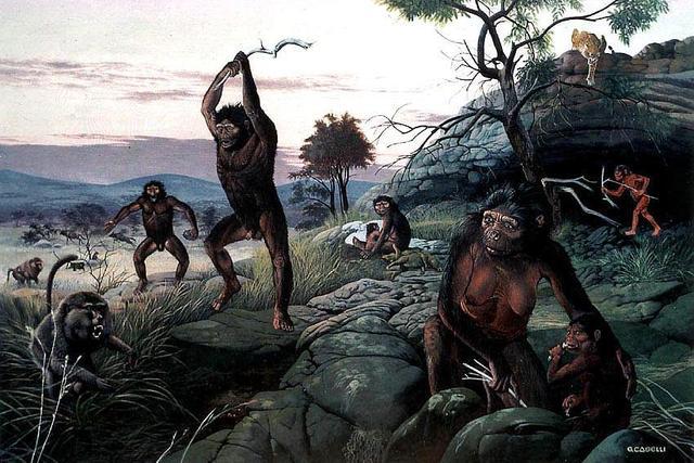 经济的自然原理12