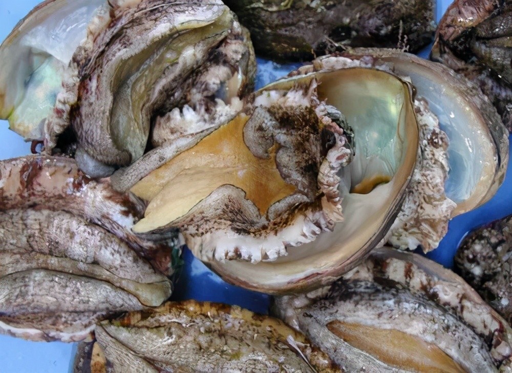 山东海鲜特产有哪些