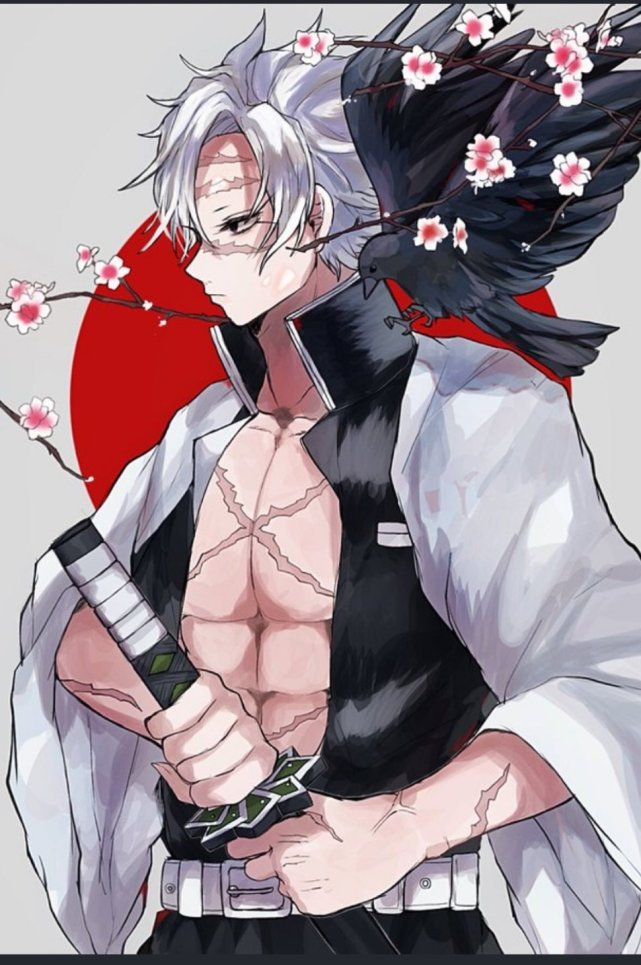 鬼灭之刃:迷人的风柱