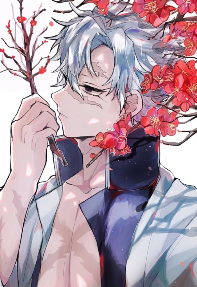 鬼灭之刃:迷人的风柱