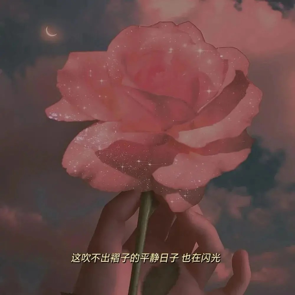 8月29日抖音热门背景图合集