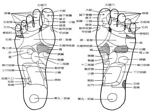 腳是人體的第二大腦,腳痛的五種情況,快快對照自查