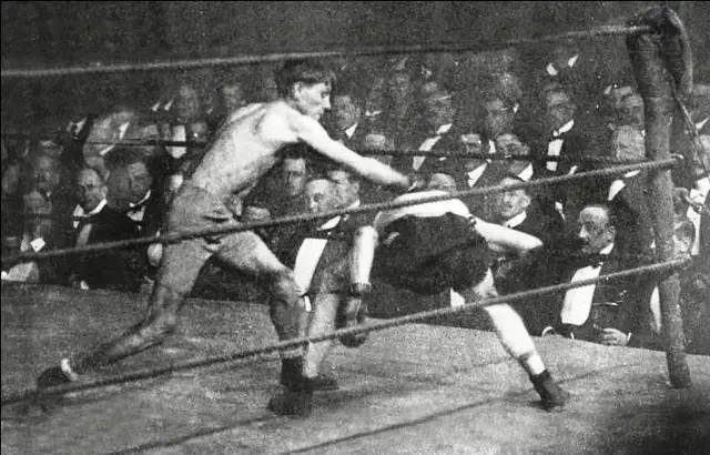 拳皇伤害排行_世界十大最强拳王排名揭晓:日本拳手高居第三,中国无人入围