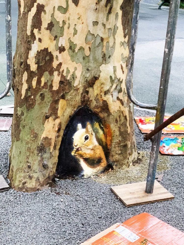 超惊喜闸北公园51个树洞大变脸游客心都萌化了