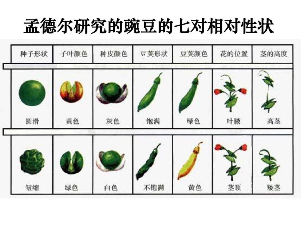 美国黑暗的"优生运动":贫穷者和少数族裔被剥夺了生育权利_腾讯新闻