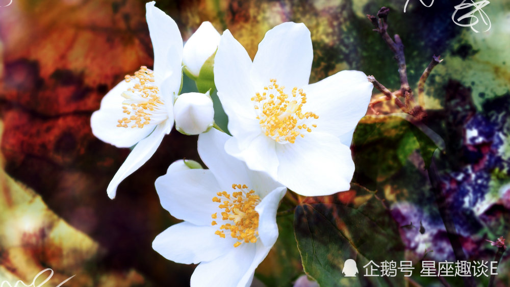 8月30日星座运势 今非昔比 展露风采的四大星座 腾讯新闻