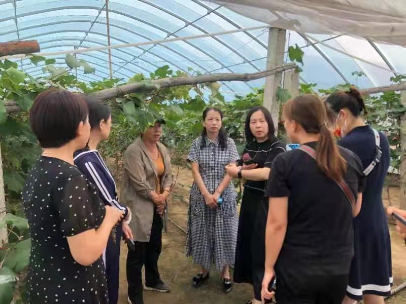 吉林市妇联调研组先后来到永吉县口前镇玉盛牧业有限公司,西阳镇金家