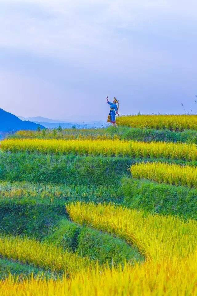 峽谷中的家鄉美景