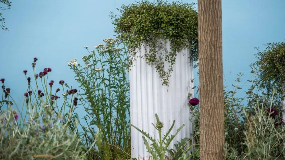 15座别具风格的展示花园 带你云逛21英国汉普顿花园节 腾讯新闻