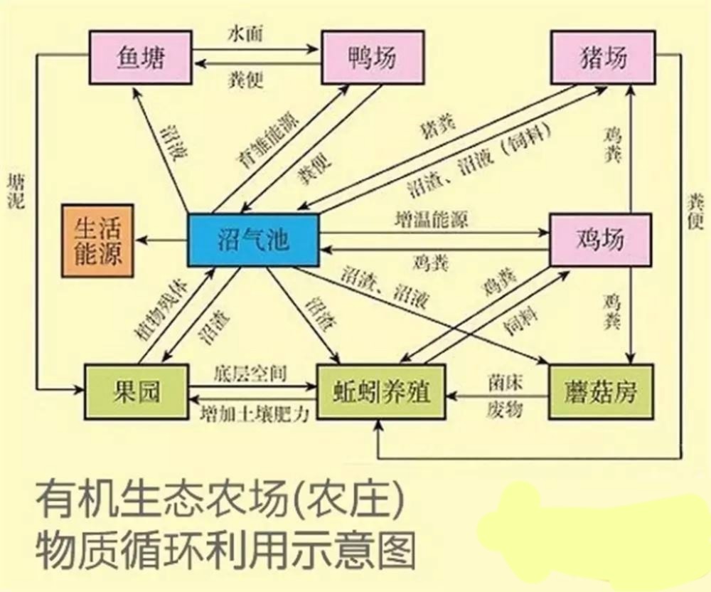 該模式以農業生產為輔,以觀光交流,休閒娛樂,教育服務等為重點.