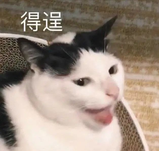 沙雕表情包假装自己听懂了