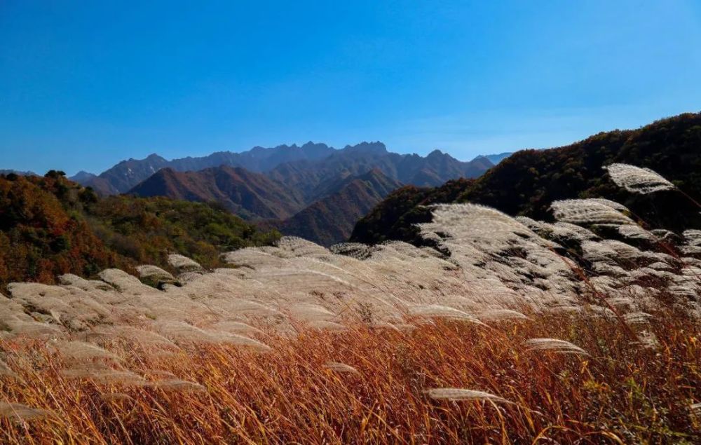 西安秋天最美的登山景點,超適合周邊一日遊_騰訊新聞