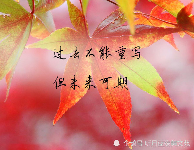 八月再见,九月你好,愿你岁月不扰,余生常欢笑