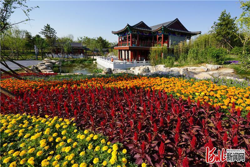 近日,在唐山市開平區花海北區的省第五屆(唐山)園林博覽會現場,