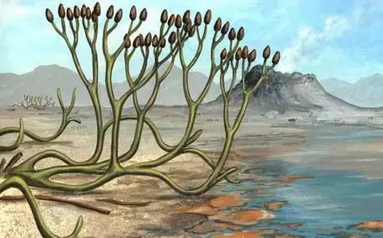 脊椎动物崛起目标征服陆地泥盆纪