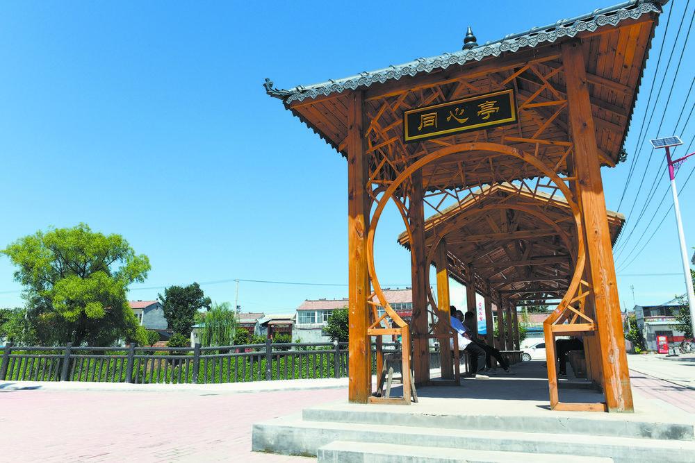 走百村看振兴巨野县万丰镇阚店村现代农业为乡村振兴插上腾飞翅膀