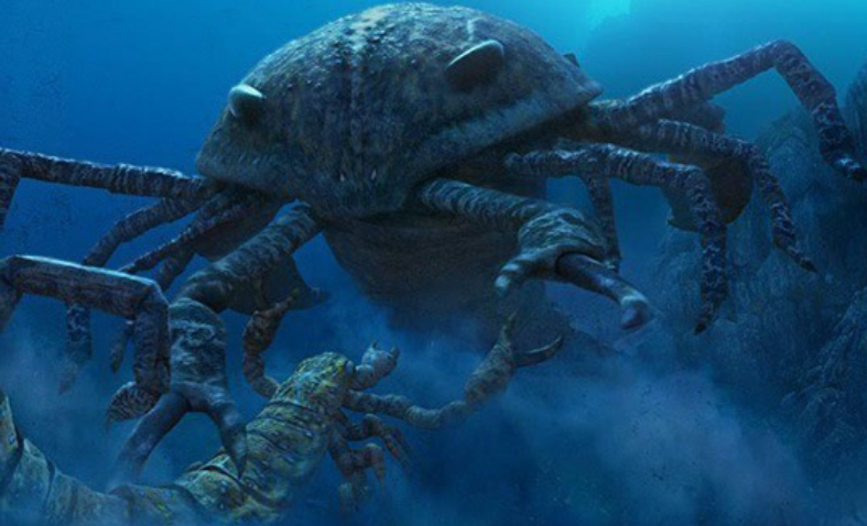 一,板足鲎,被称为"海中之霸".