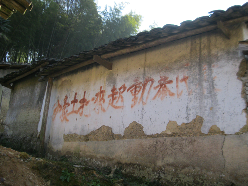画家李永光作品多少钱(画家李永光作品价格)-画家李永光联系方式,画家李永光作品多少钱(画家李永光作品价格)-画家李永光联系方式,画家李永光,第1张
