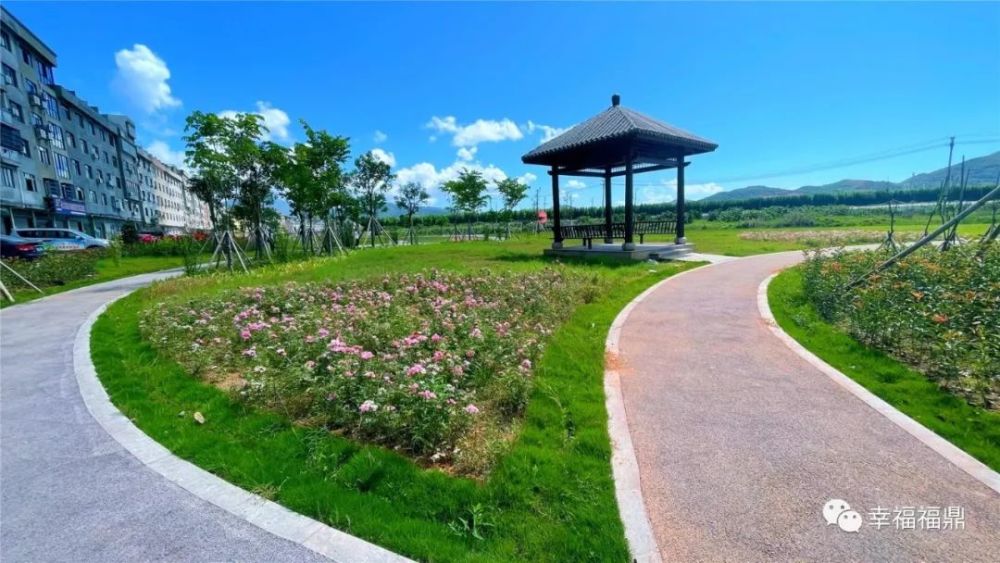 荒地变公园龙安这里大变样