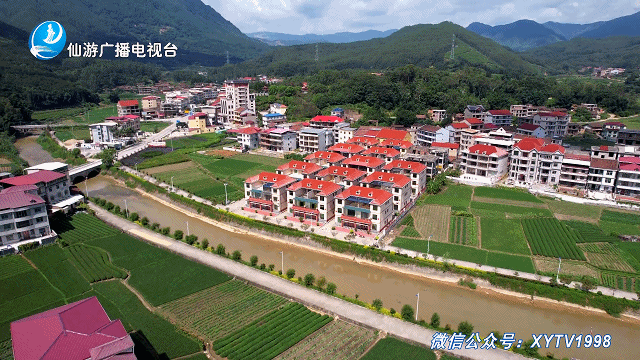 仙游县|福建|福州