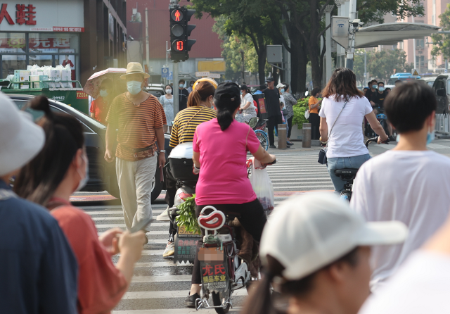 闯红灯过马路看手机文明礼让斑马线行人也该守规则