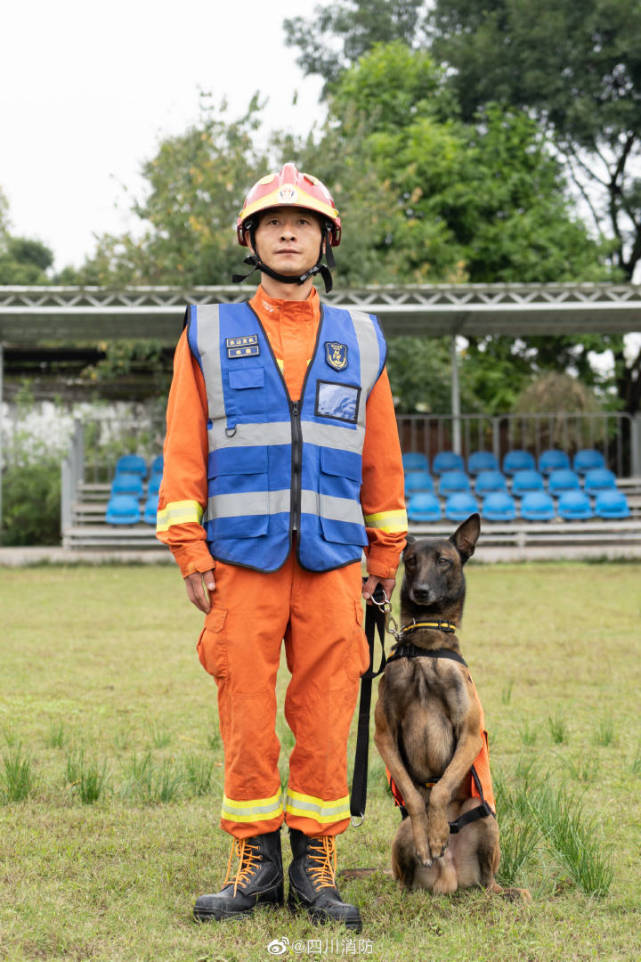 四川樂山消防搜救犬天團你pick誰?