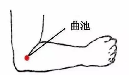 合谷穴定位十分简单——拇指和手掌并拢后肌肉隆起最高处.