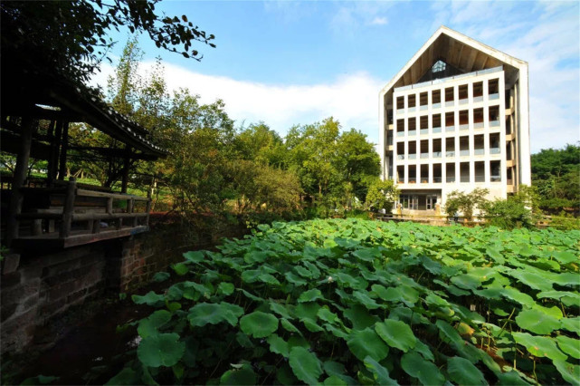 四川美术学院,自由开放的大学,却因风景太好被称为"农村"