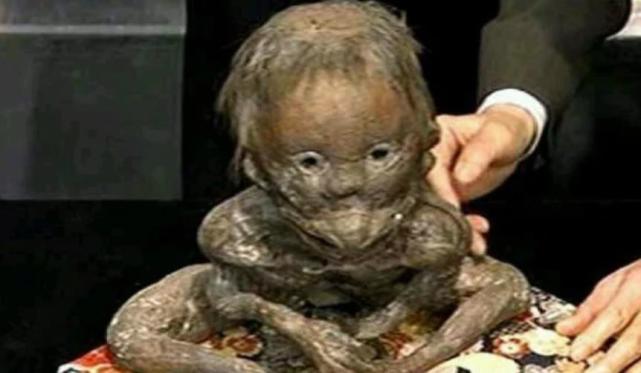 国产恐怖片就该这样拍,故事讲得好,还怕什么审核红线