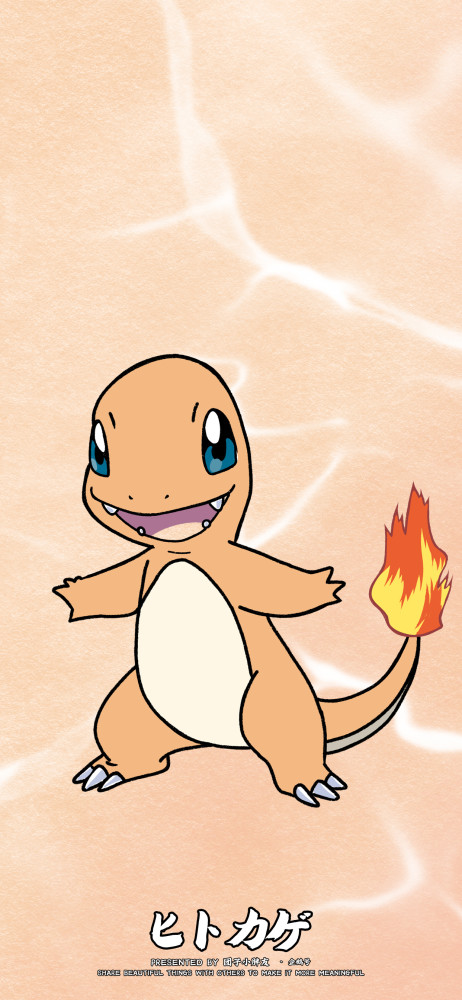 壁纸宝可梦妙蛙种子小火龙