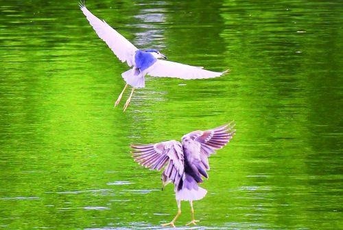 未来一周 株洲 "炎"值依旧在线,最高温35-36℃