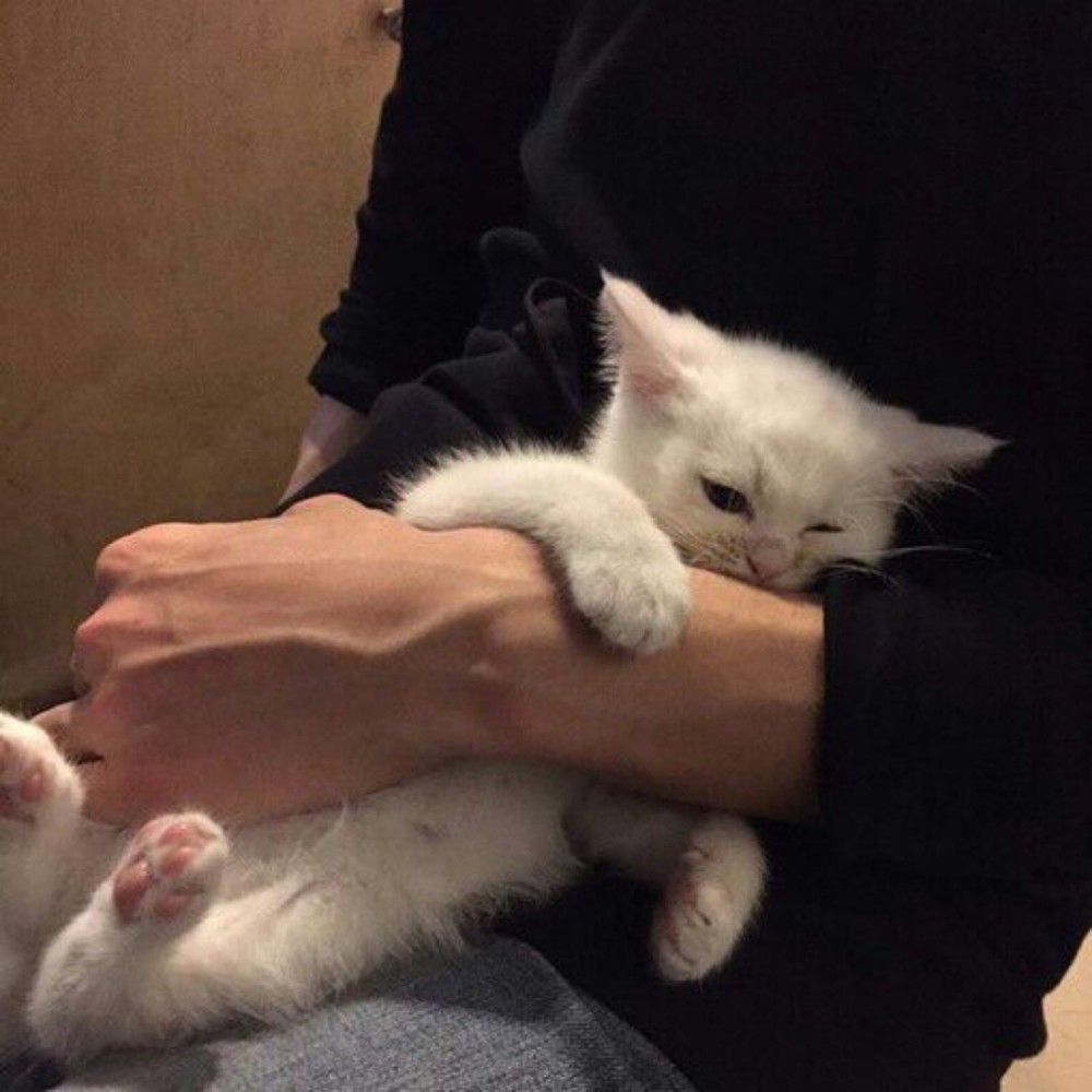 高级感的男生头像