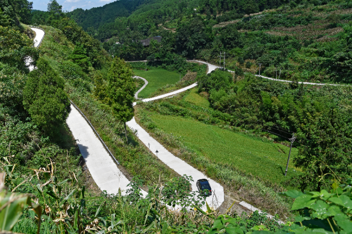 走进乡村看小康同乐乡实胜村四好农村路串起乡村产业链