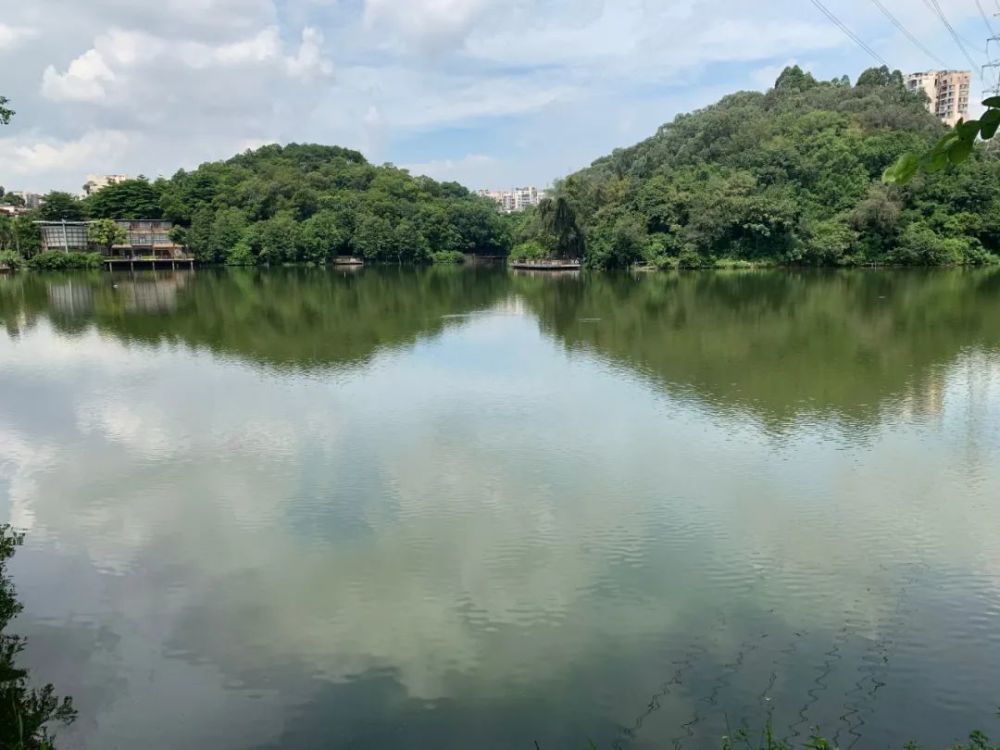 項目周邊,更有濱江體育公園,白雲兒童公園,潯峰山生態公園等環繞,週末