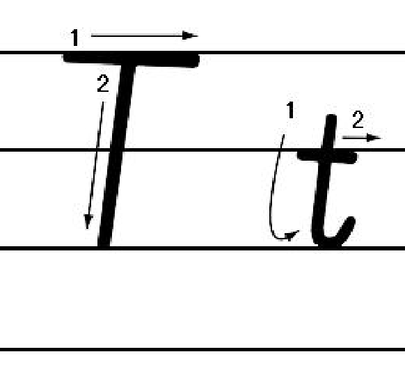 声母t的书写格式图片