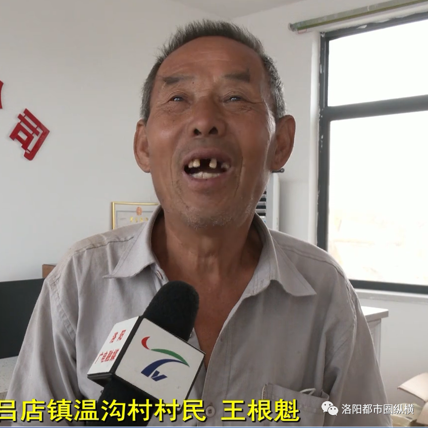 伊川县吕店镇谷子金灿灿农户笑盈盈