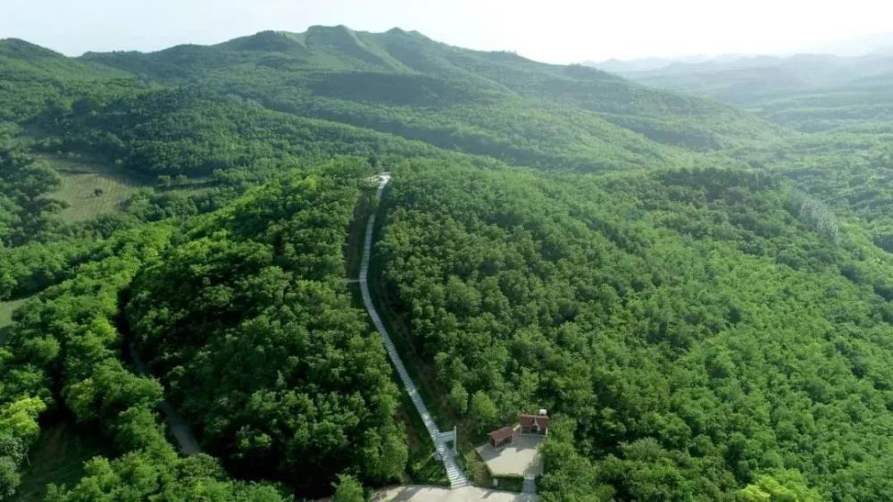 野河山生态旅游景区