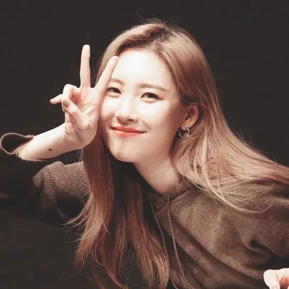 头像李宣美合集