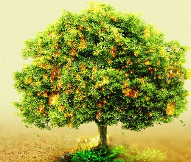 心理测试:凭感觉选一棵许愿树,测你这辈子缺不缺钱花?