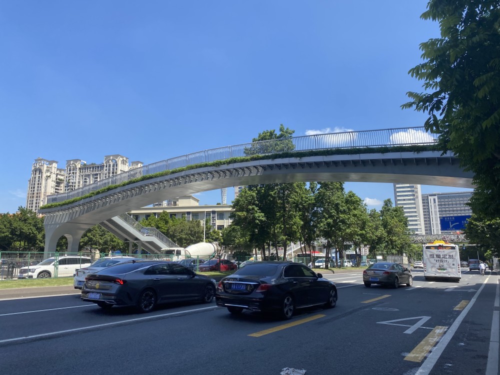 临时了十年的钢桥正式退役江海大道石榴岗路新天桥投入使用