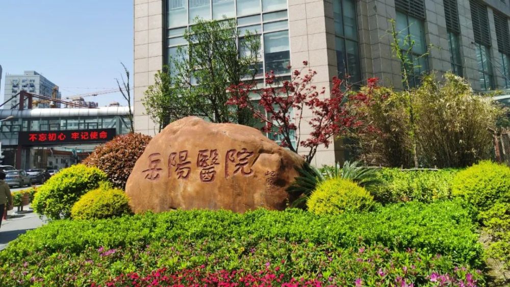 岳阳医院新冠康复门诊发挥中医特色守护恢复期患者健康