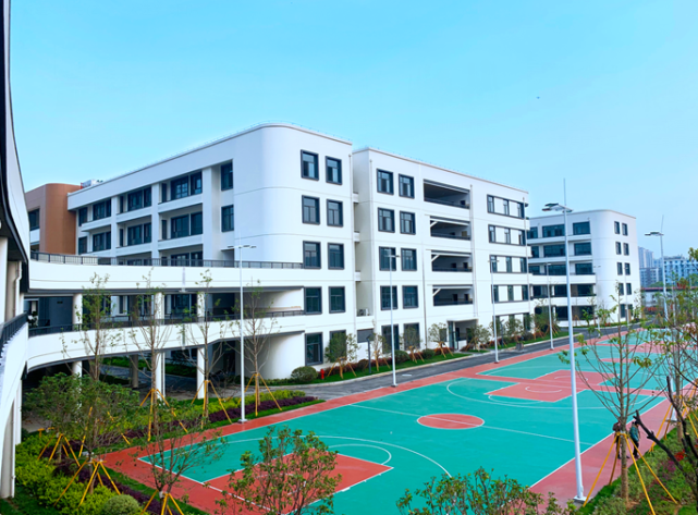 温州新一批中小学来了9月投用