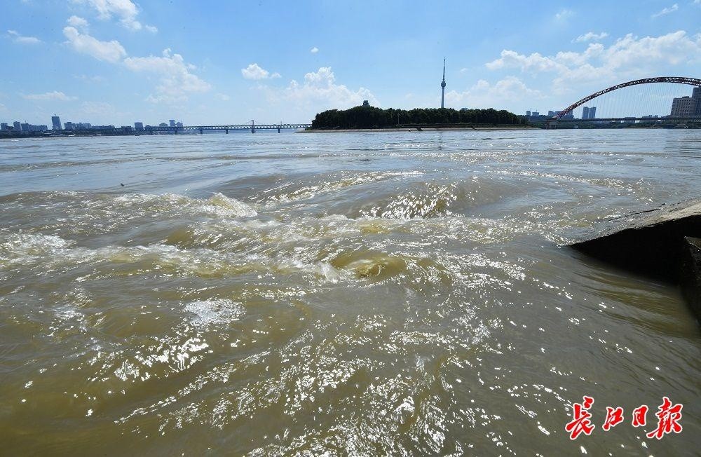 汉江龙王庙段水流湍急.长江日报记者喻志勇 摄